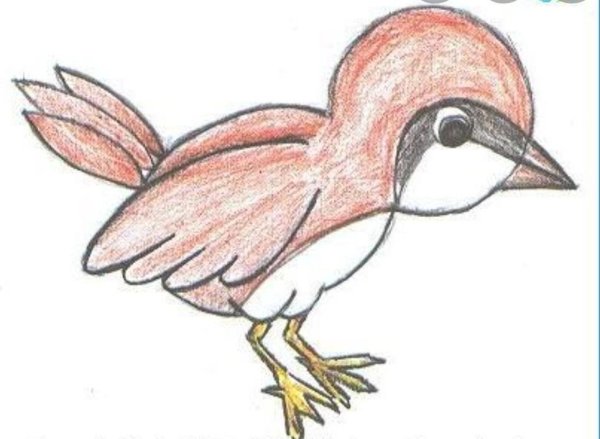Рисунок растрепанный Воробей 3 класс