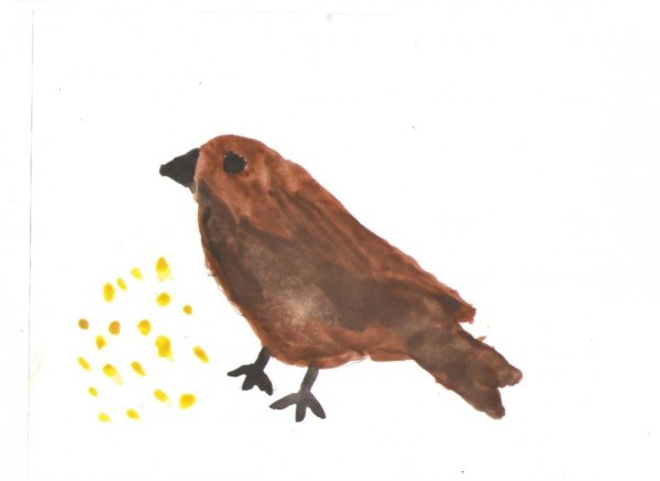 Рисунки растрепанный Воробей Паустовский 3 класс