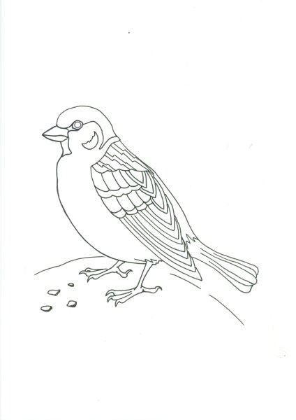 Иллюстрация к рассказу Воробьишко Горького