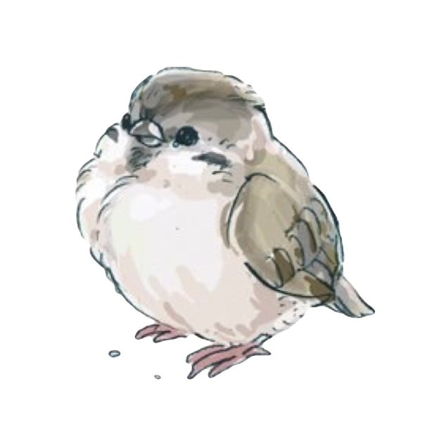 Константин Паустовский растрепанный Воробей