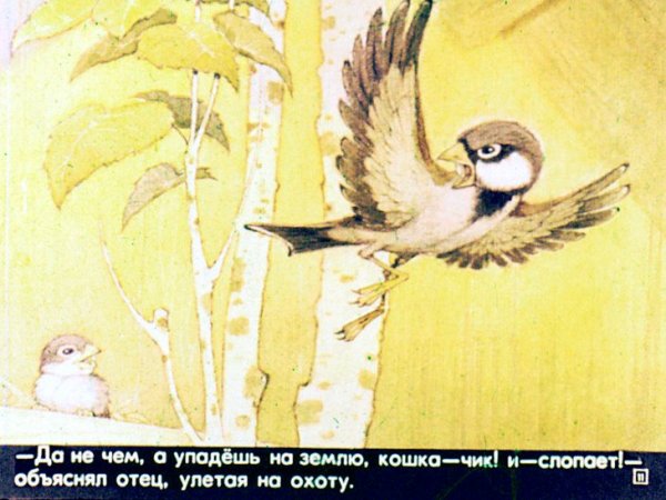 Рисунок воробья для срисовки карандашом для детей