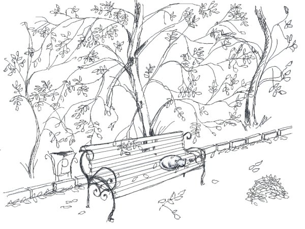 Рисунок осень карандашом