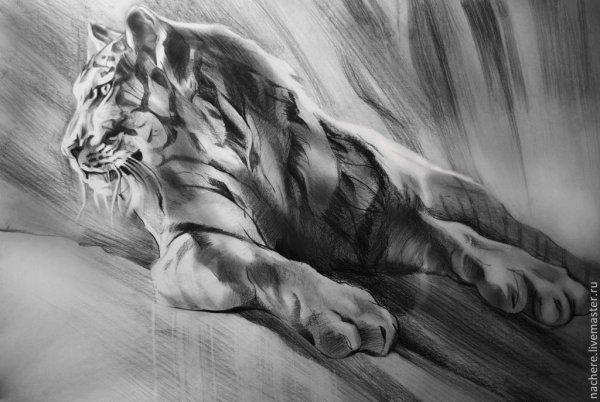 Художник Dino Tomic