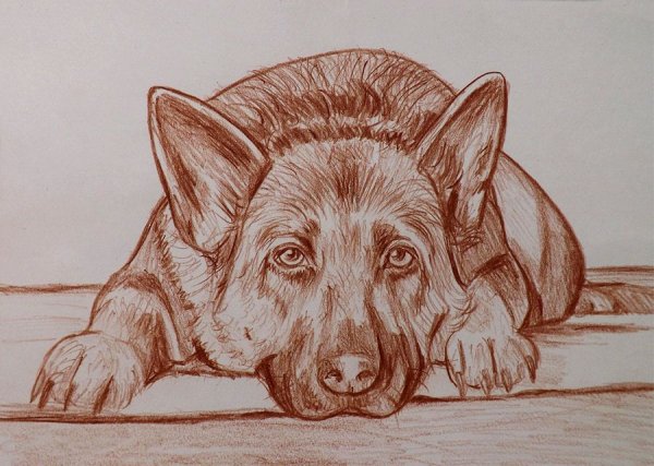 Художник Dino Tomic