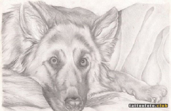 Картинки рисунки карандашом