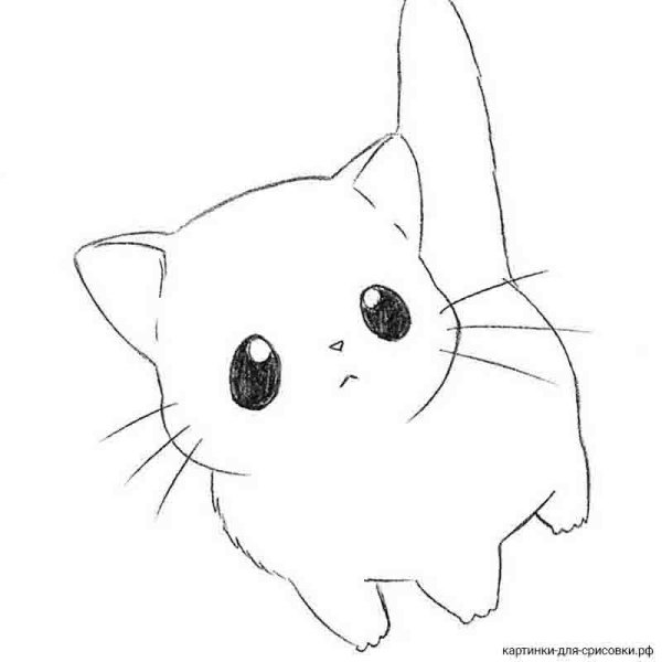 Милые котики рисунки для срисовки