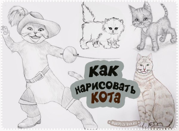 Кот в сапогах рисунок поэтапно