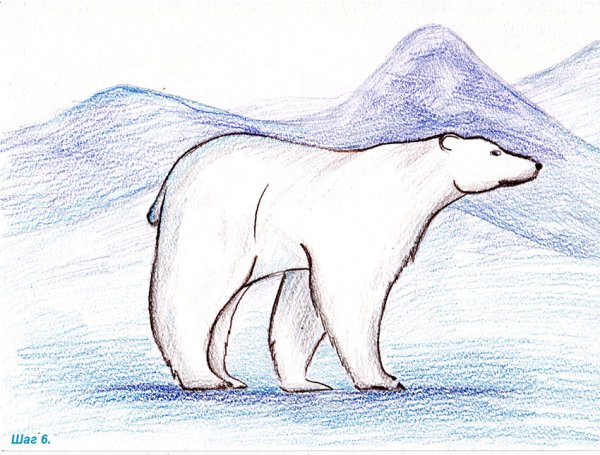 Арктика рисунок