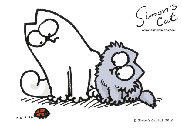 Кот Саймон и котенок