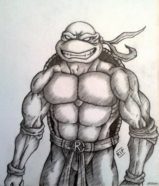 Черепашки ниндзя рисунок