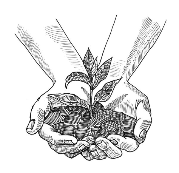 Почва карандашом