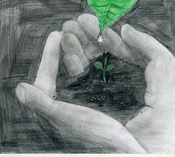 Экология рисунок