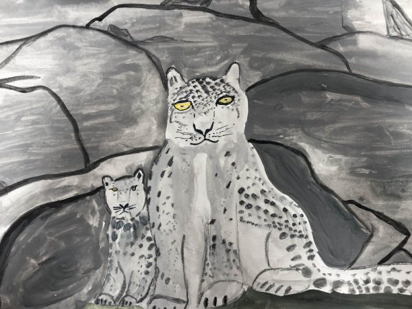 Снежный Барс рисунок