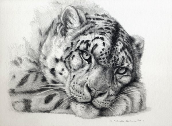 Ирбис снежный Барс тату