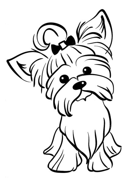 "Йоркширский терьер" raskraska