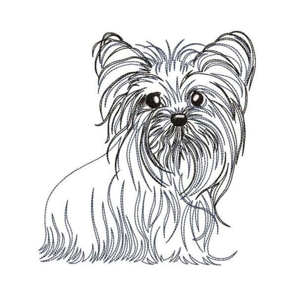 Йоркширский терьер рисунок