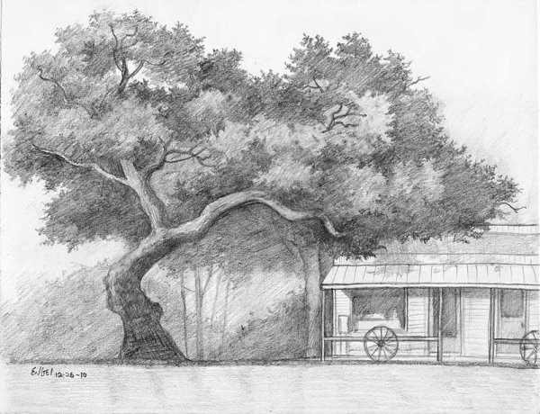 Архитектурная иллюстрации дерева