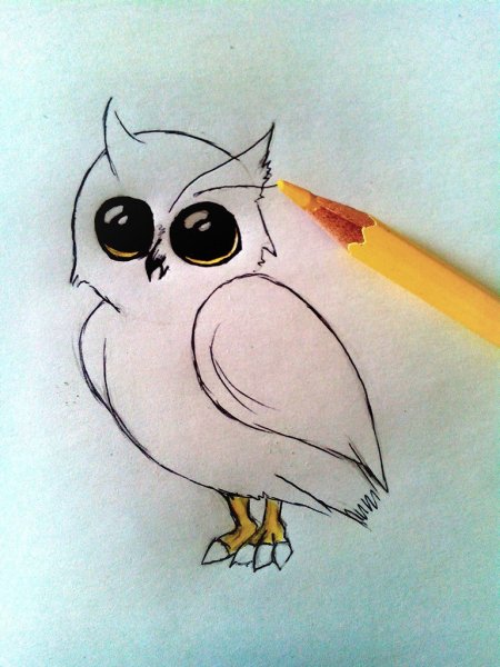 Рисунки на свободную тему красивые