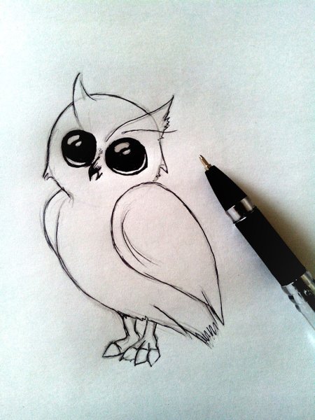 Лёгкие рисунки ручкой