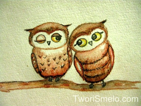 Сова рисунок карандашом цветным