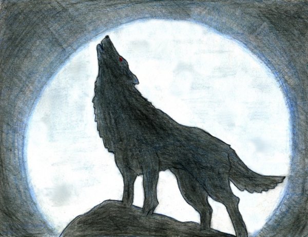 Волк с луной рисунок для срисовки
