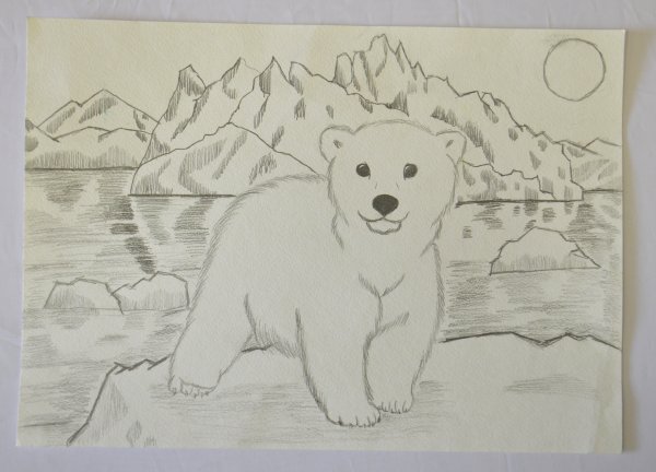 Рисунок на тему белый медведь