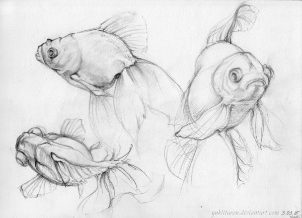 Рыбка карандашом