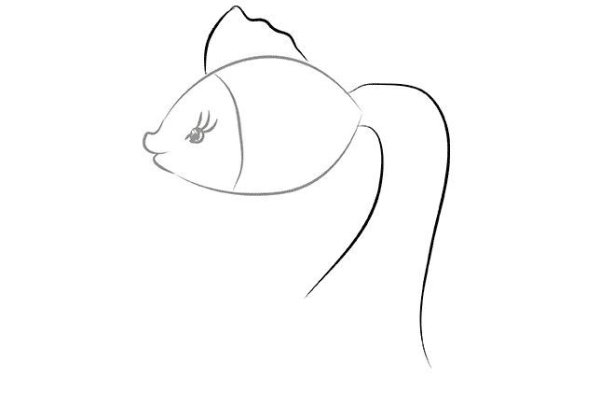 Поэтапное рисование золотой рыбки