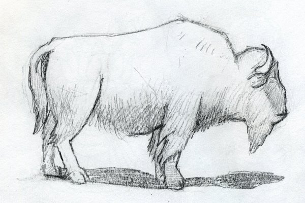 ЗУБР рисунок