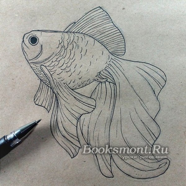 Золотая рыбка карандашом
