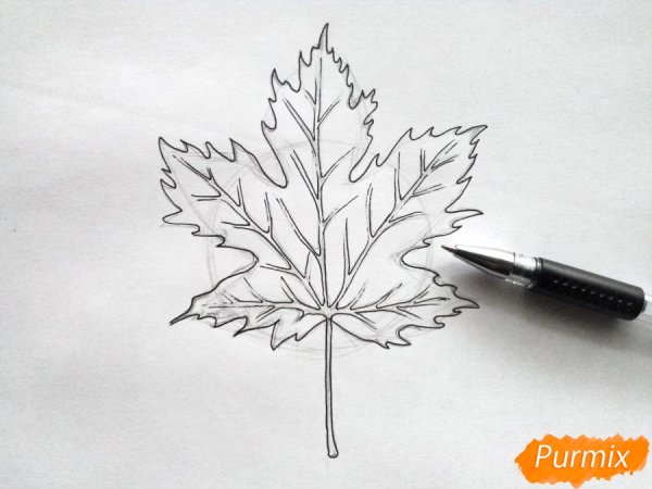 Лист клена карандашом
