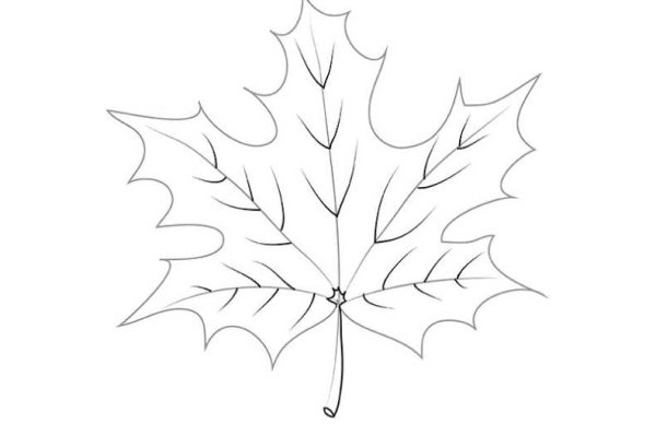 Лист клена поэтапное рисование