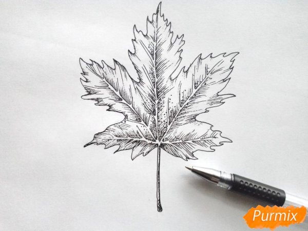 Кленовый лист схема рисования