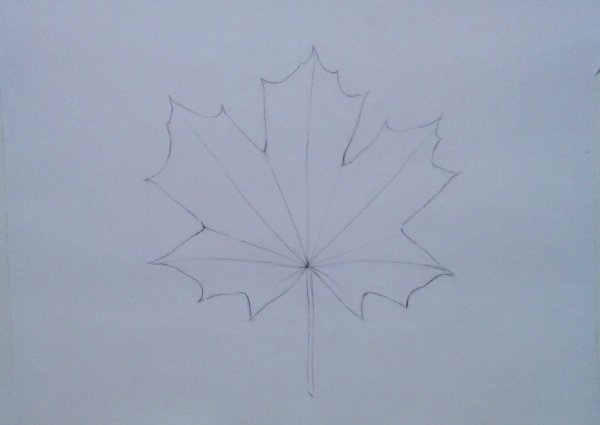 Рисование кленового листа карандашами