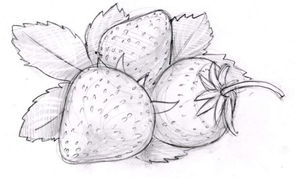 Рисунки простым карандашом для срисовки