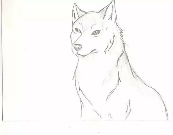 Красивые несложные рисунки