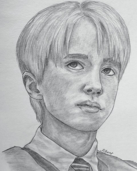 Драко Малфой портрет карандашом