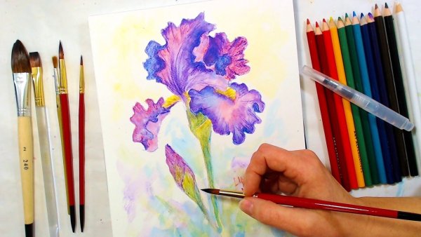 Рисунки цветными карандашами для детей