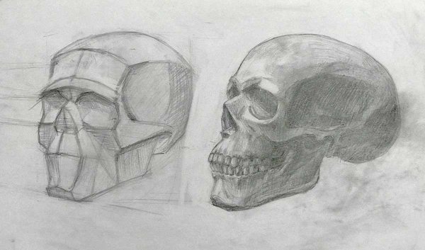 Череп для рисования