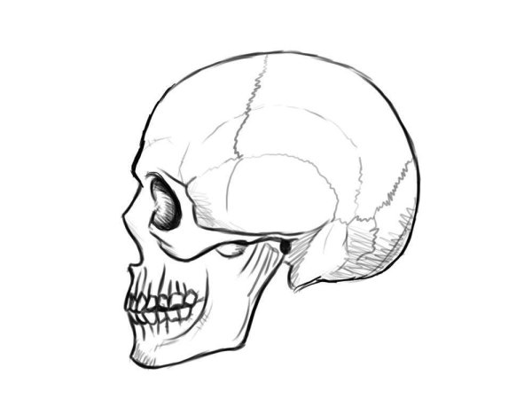 Череп нарисованный сбоку