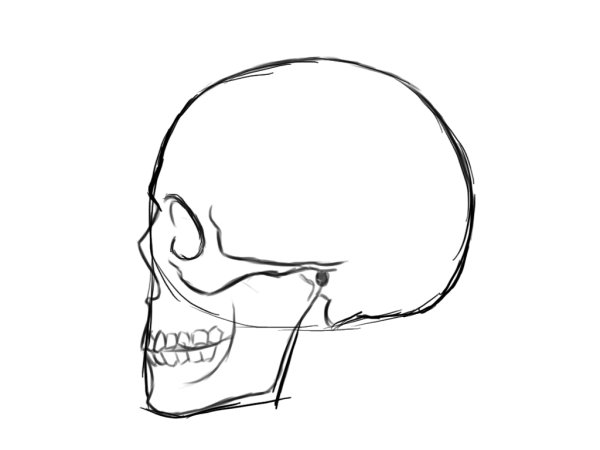 Картинки для срисовки черепа