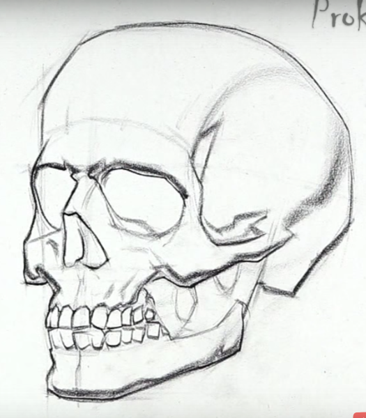 Череп рисунок легкий