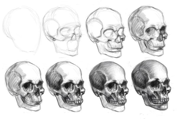 Череп для срисовки легко