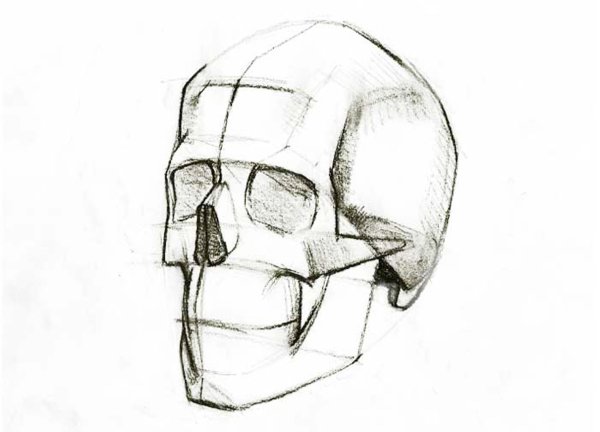 Нарисовать череп