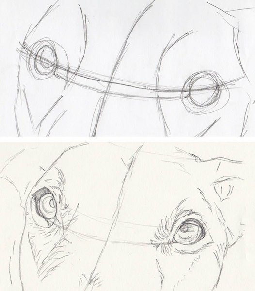 Кошачий глаз карандашом