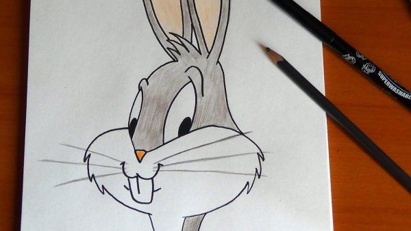 Раскраска Багз Банни и его друзья