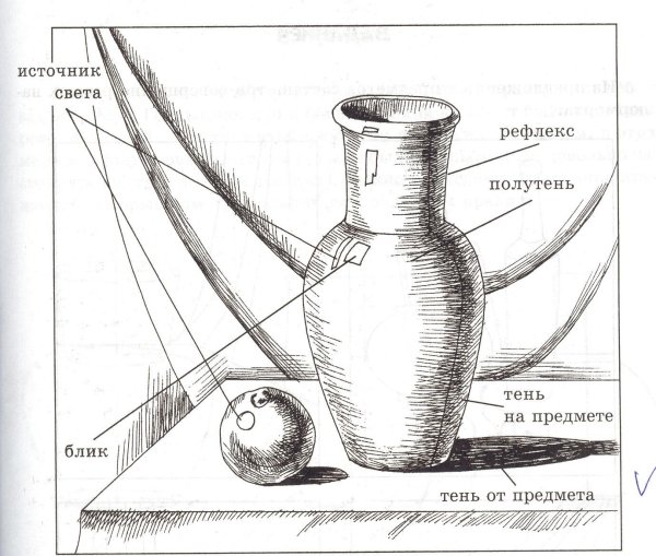 Этапы рисования натюрморта карандашом