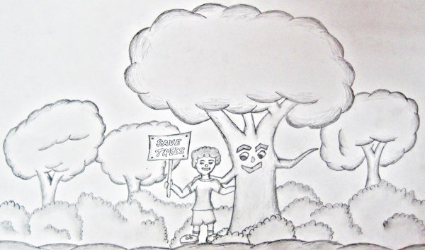 Берегите деревья рисунок