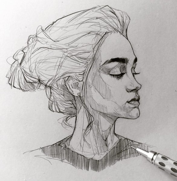 Портрет гелиевой ручкой