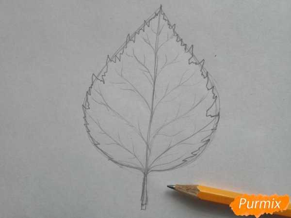 Березовый лист карандашом